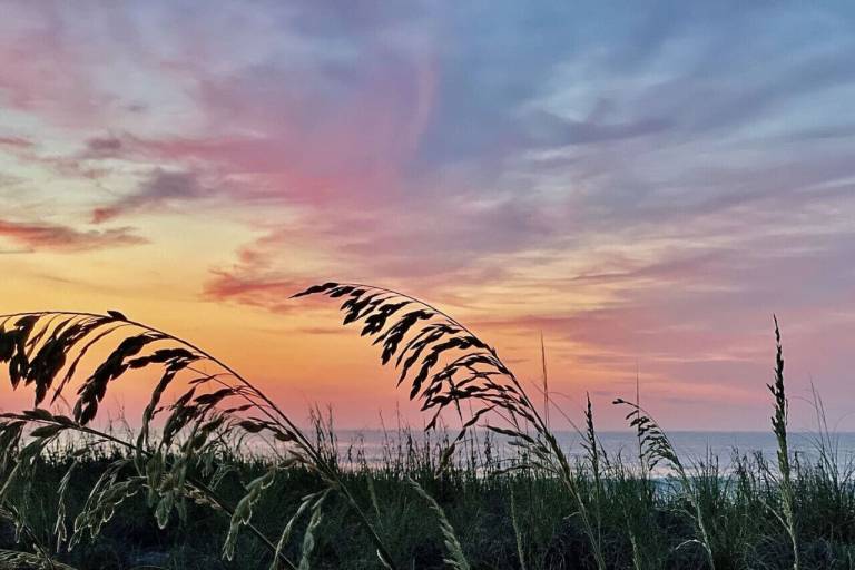 Cottage Myrtle Beach