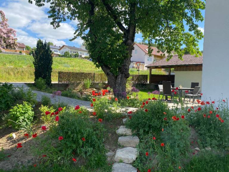 foto35