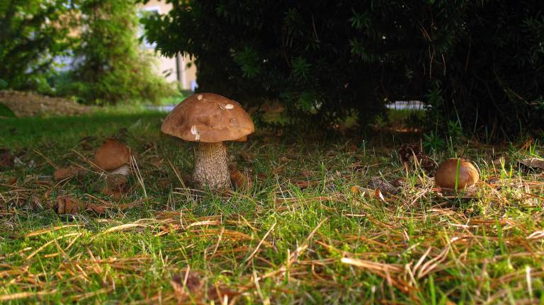 foto21