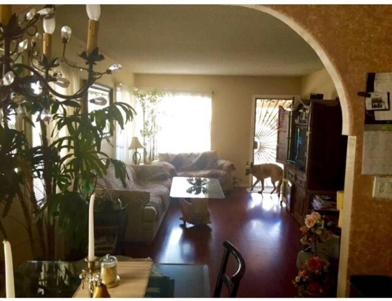 foto7