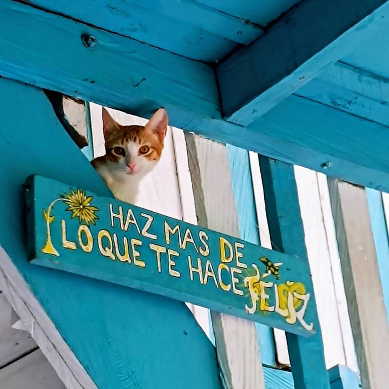 foto9