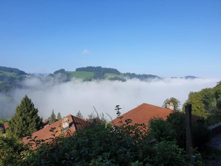 foto55