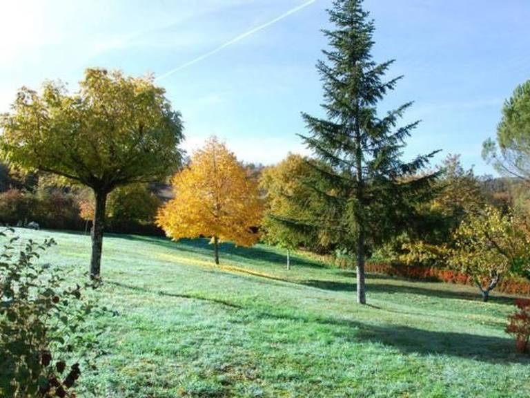 foto18