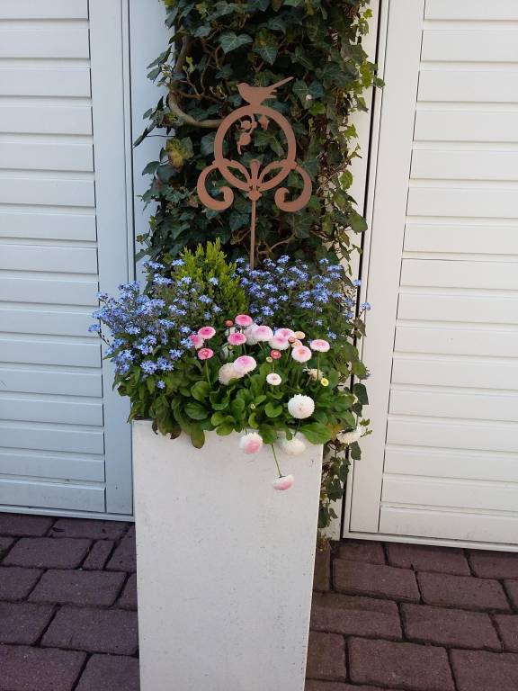 foto15