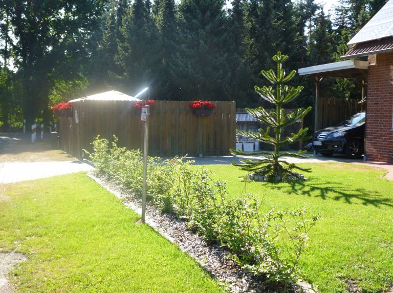 foto3