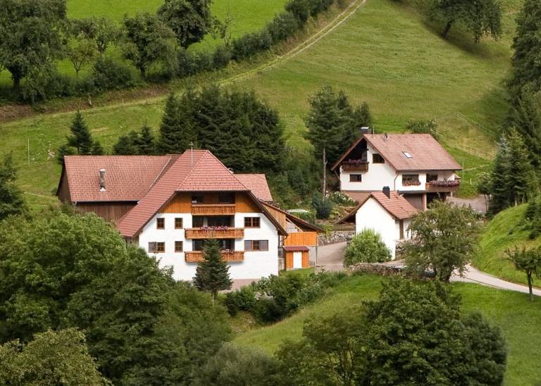 foto11