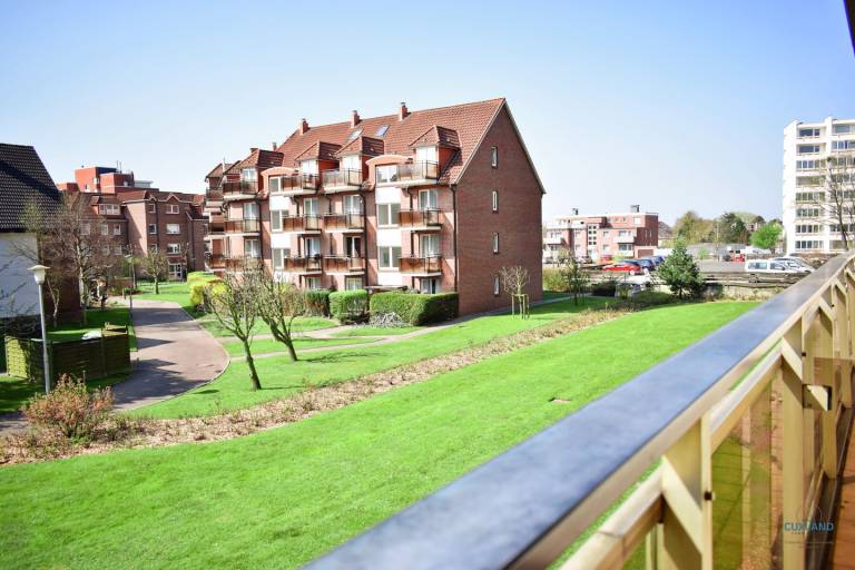 foto11