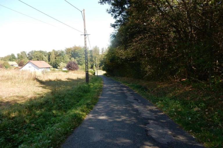 foto39