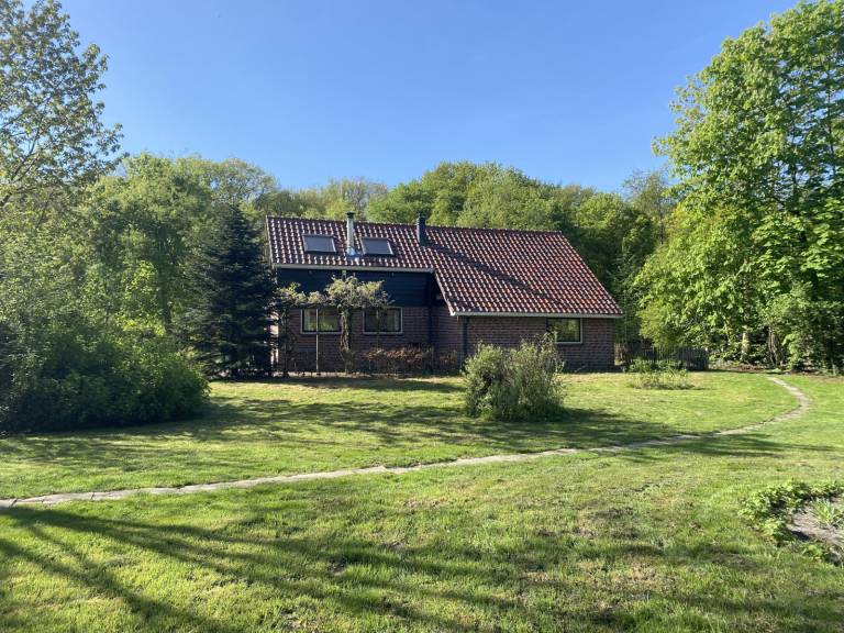 foto11