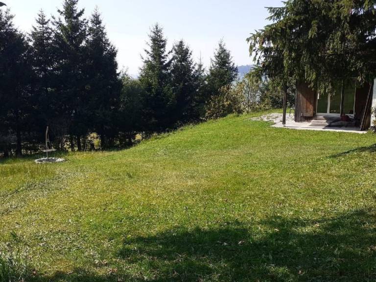 foto25