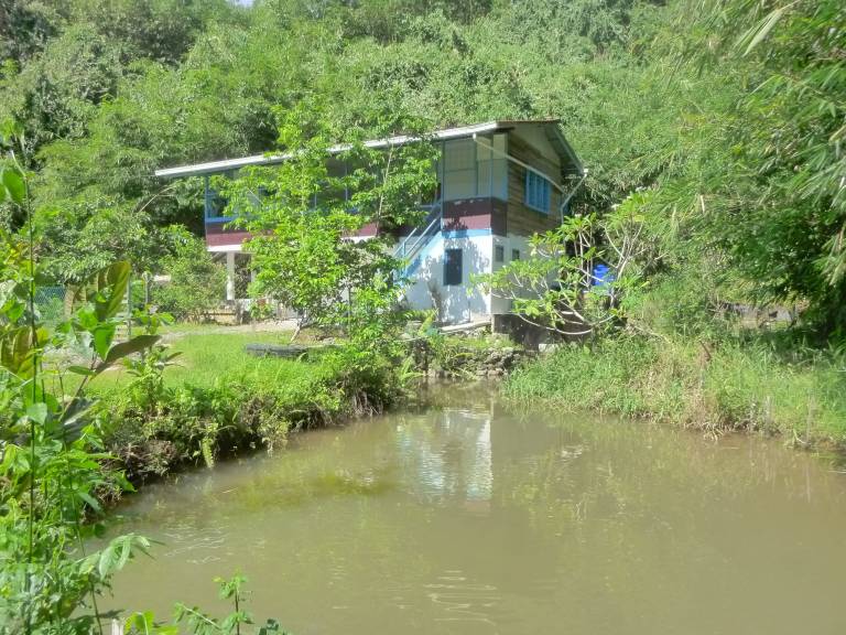 foto2