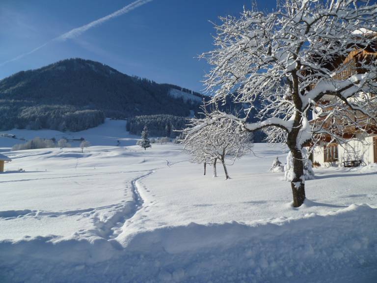 foto5
