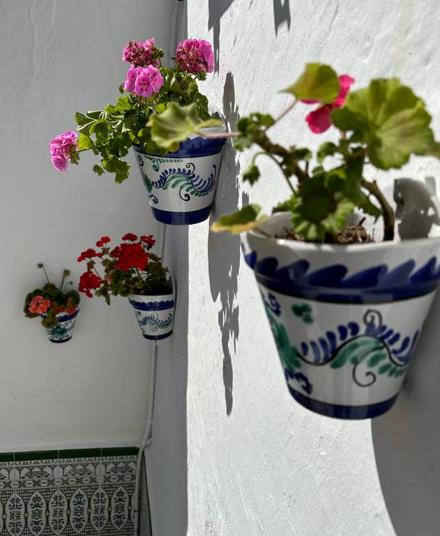 foto23