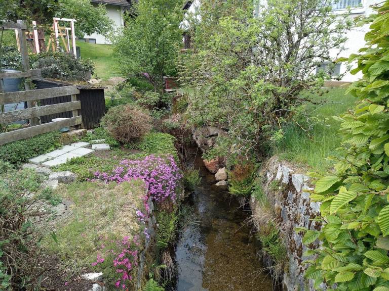 foto26