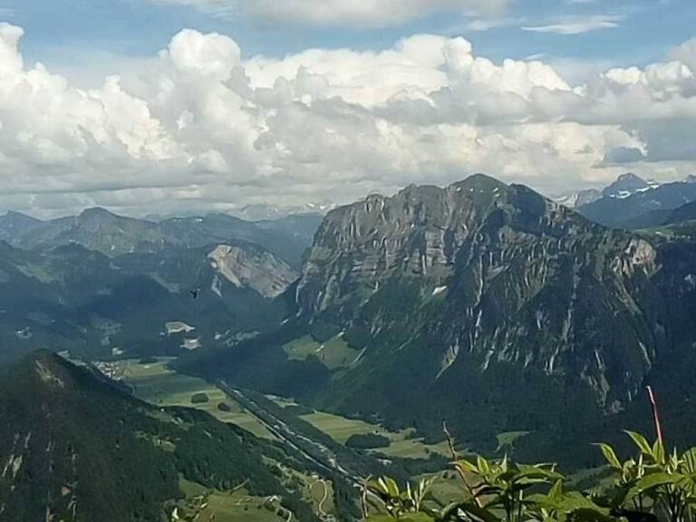 foto29