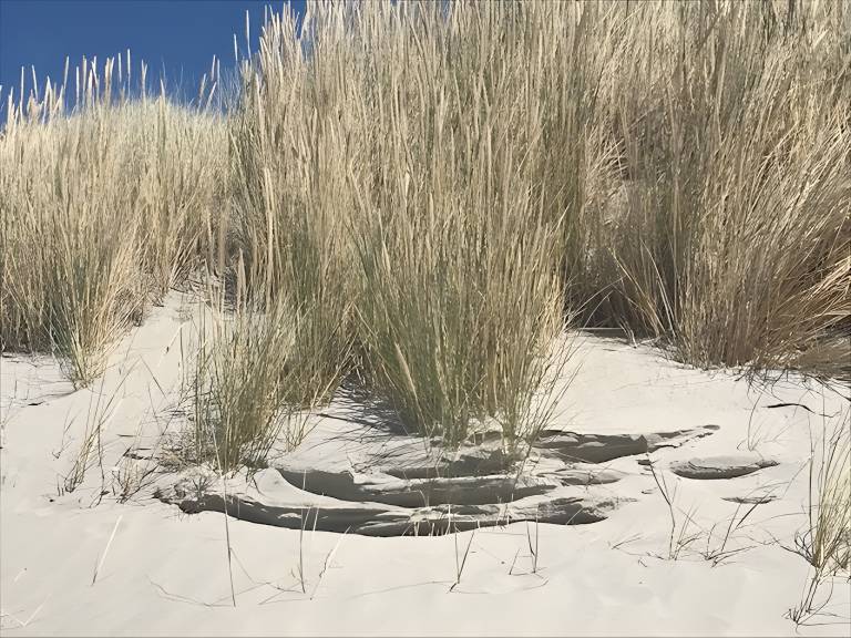 foto23