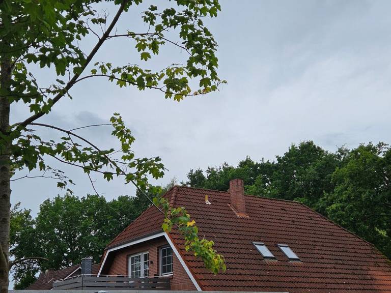 foto27