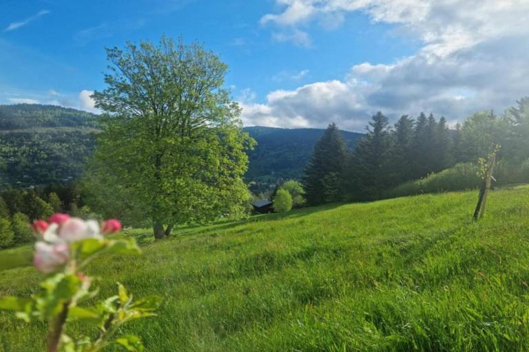 foto35