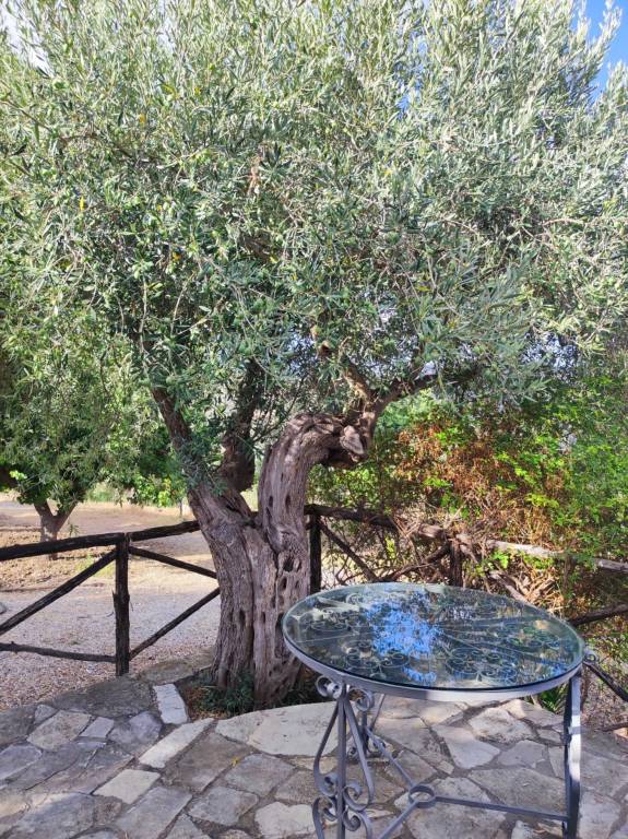 foto29