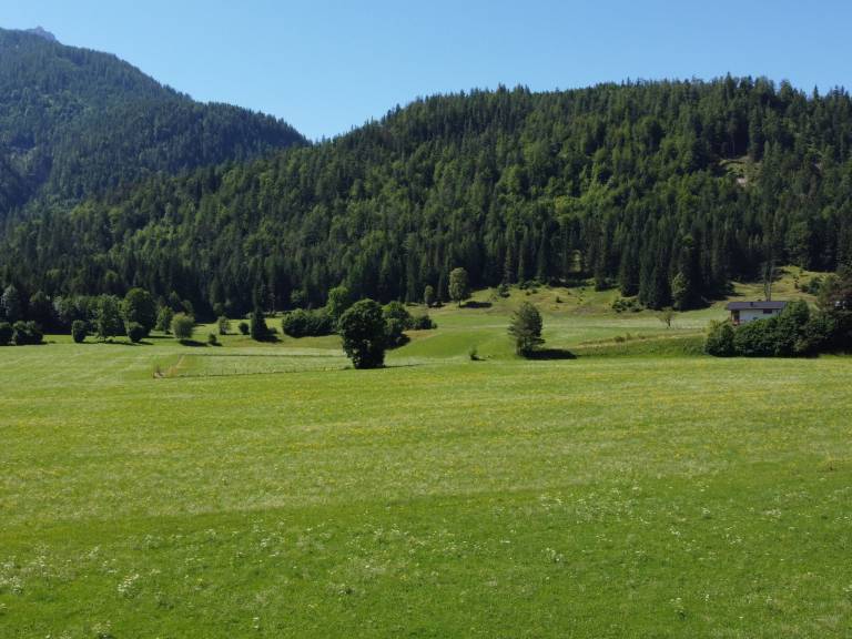 foto28