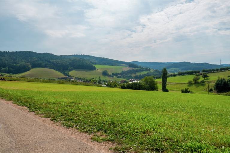foto24