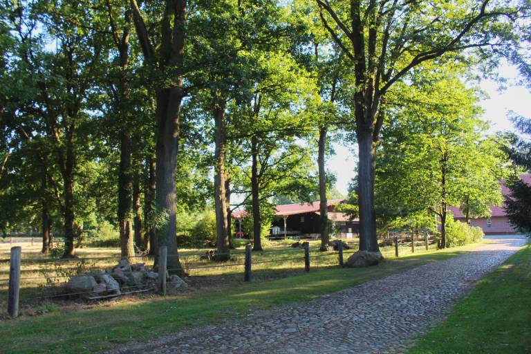 foto2