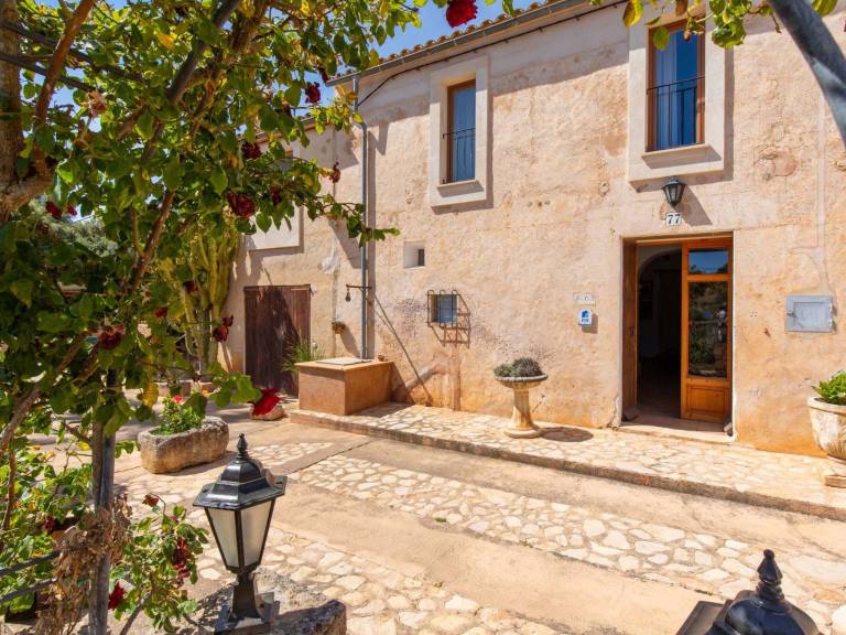 foto26
