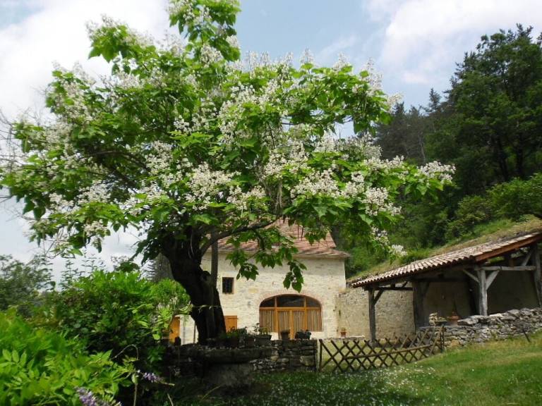 Cottage Saint-Cirq-Lapopie