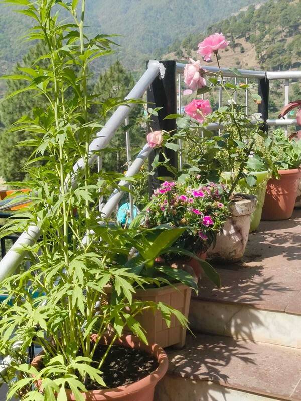 foto4