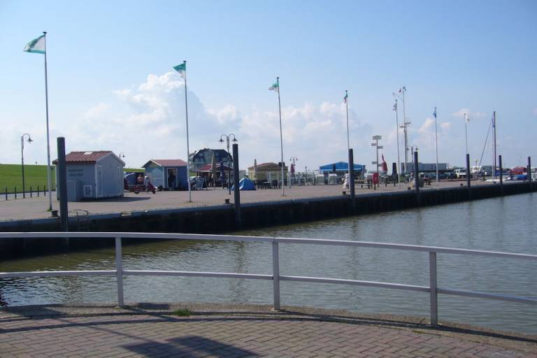 foto19