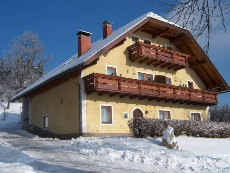 foto1