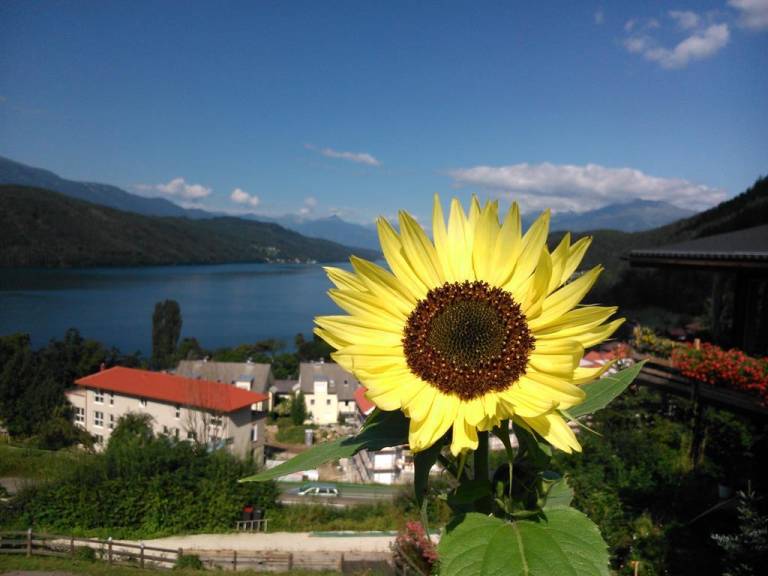 foto9