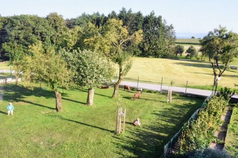 foto7