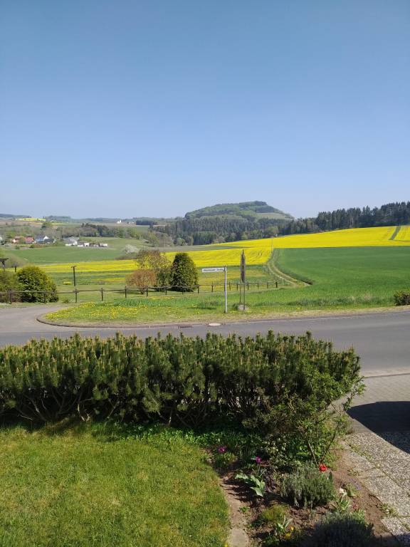 foto4