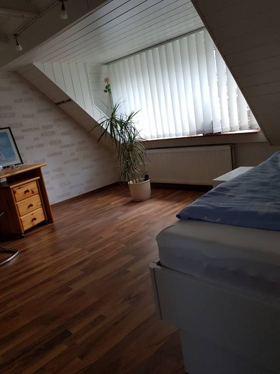 foto6