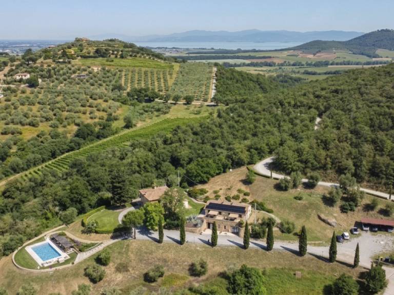 foto4