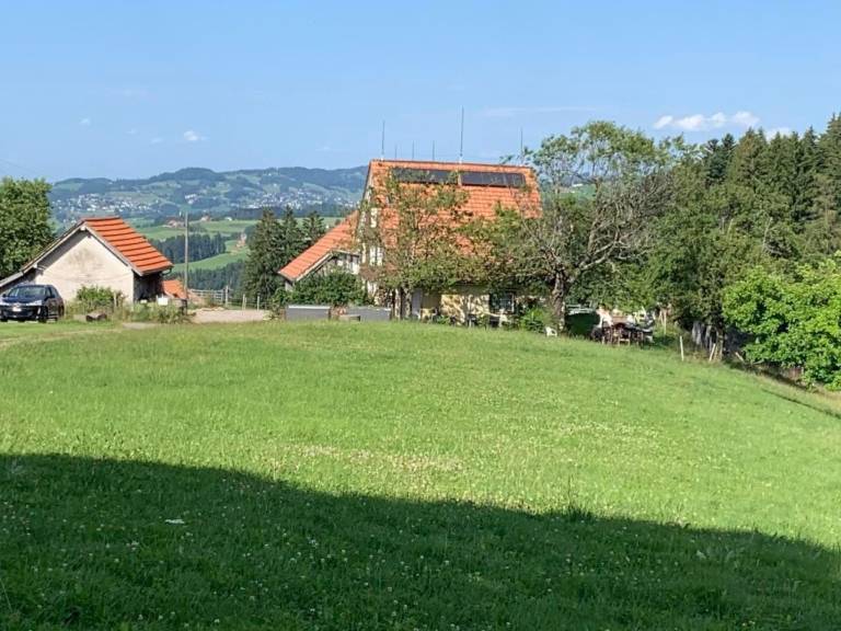 foto1