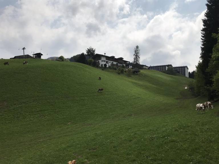 foto4