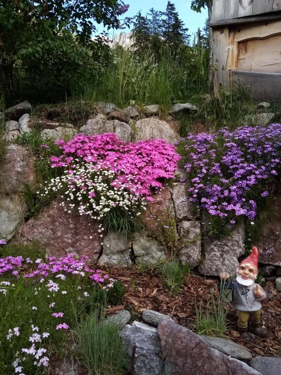 foto11