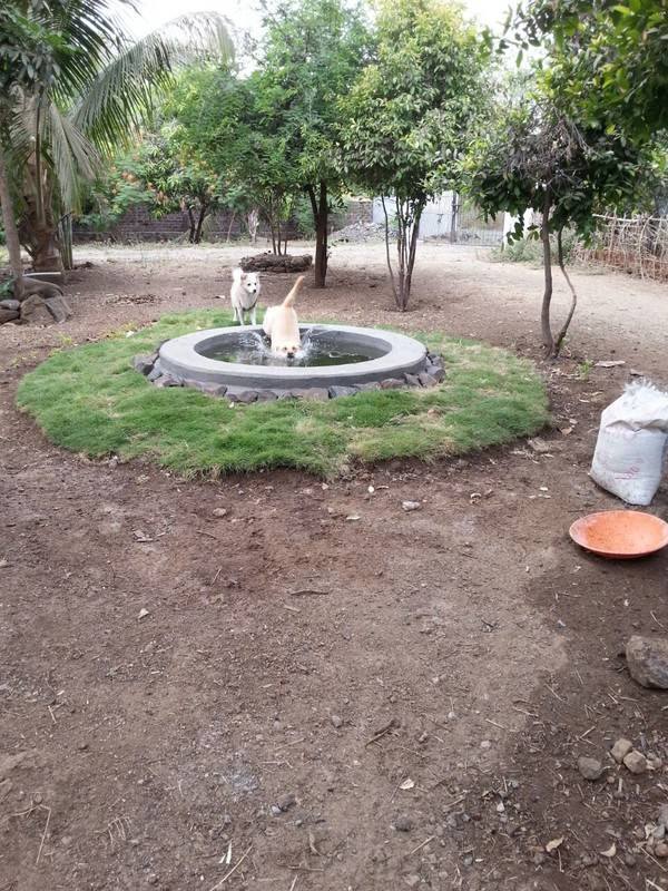 foto3