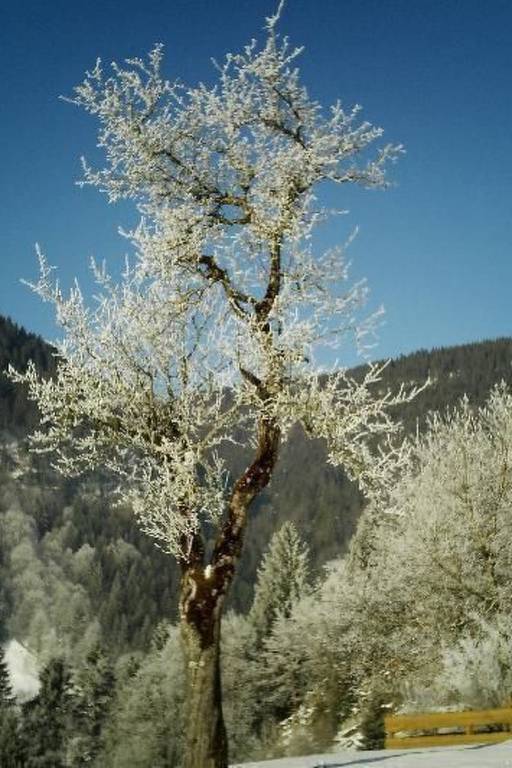 foto16