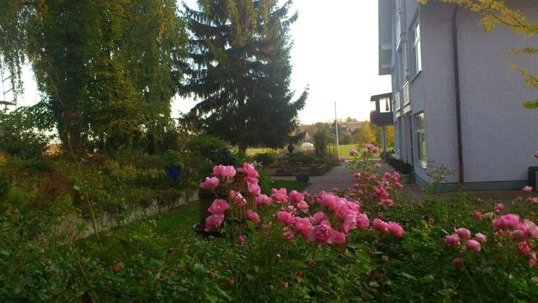 foto13