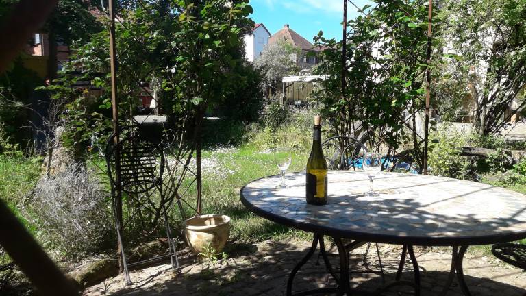 foto8
