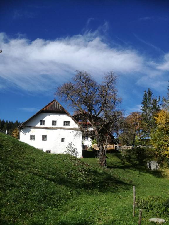 foto47