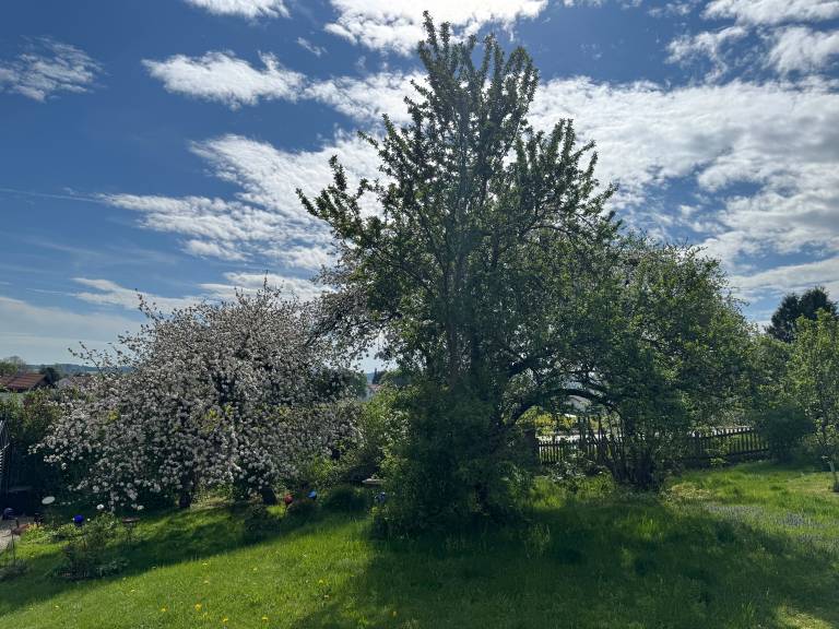 foto25