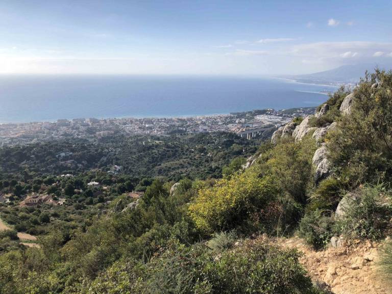 foto41