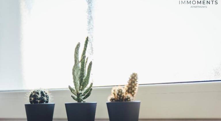 26 m² Ferienwohnung