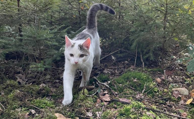 foto33