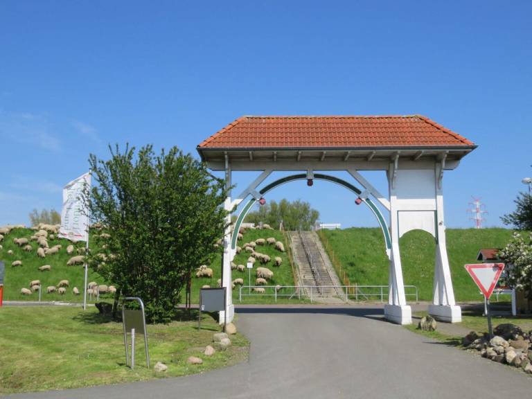 foto21