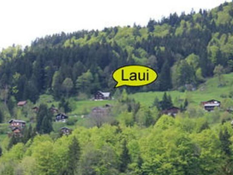foto24